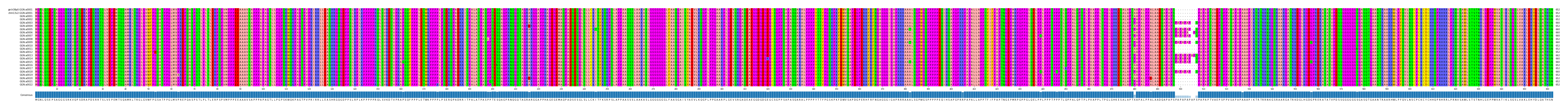 Multiple Alignments (by translate haplotype frequency)
