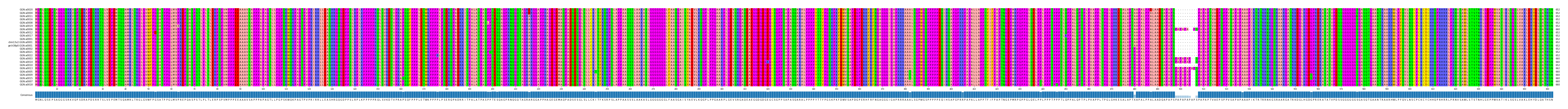 Multiple Alignments (by translate haplotype similarity)