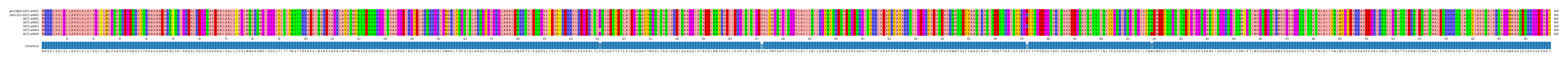 Multiple Alignments (by translate haplotype frequency)