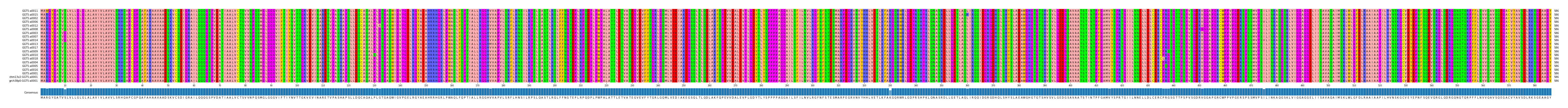 Multiple Alignments (by translate haplotype similarity)