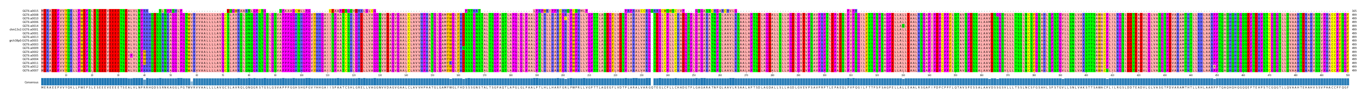 Multiple Alignments (by translate haplotype similarity)
