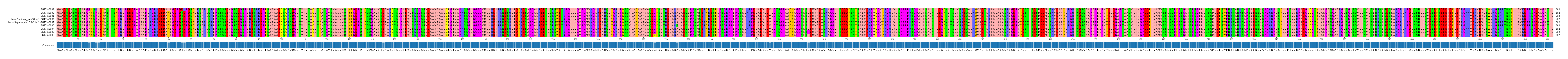 Multiple Alignments (by translate haplotype similarity)
