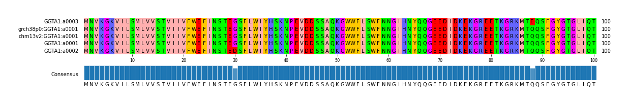 Multiple Alignments (by translate haplotype similarity)