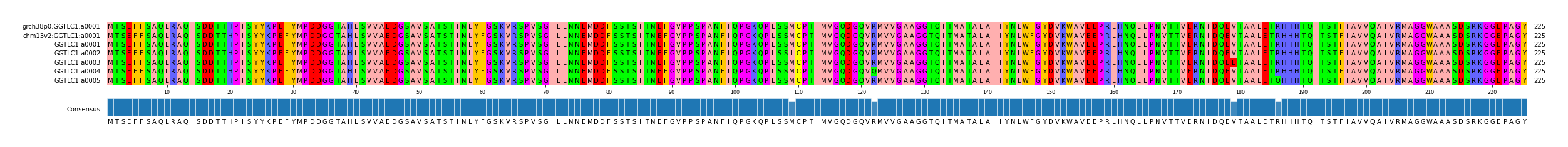 Multiple Alignments (by translate haplotype frequency)