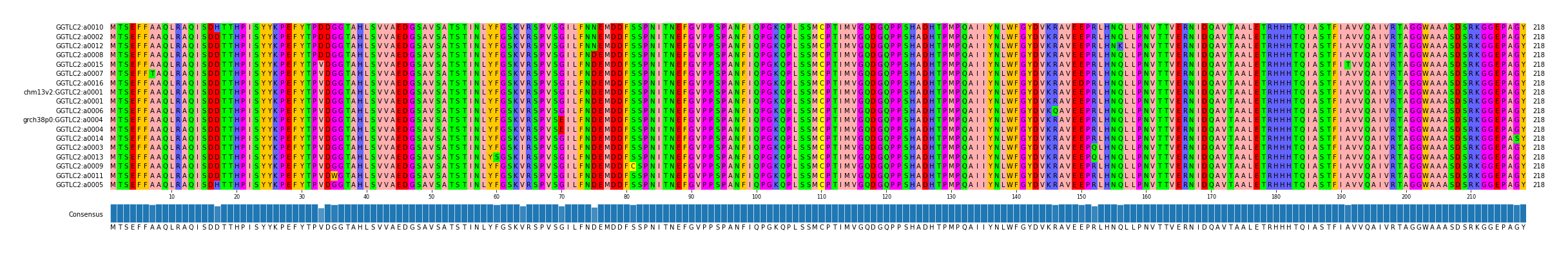 Multiple Alignments (by translate haplotype similarity)
