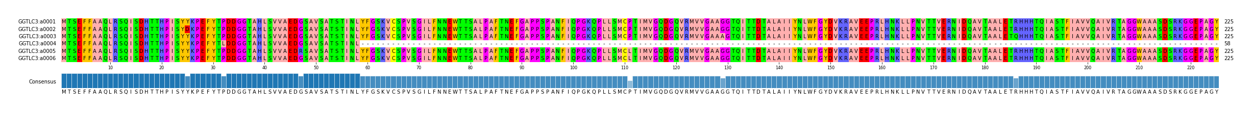 Multiple Alignments (by translate haplotype frequency)