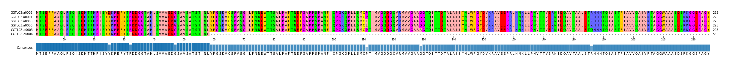 Multiple Alignments (by translate haplotype similarity)