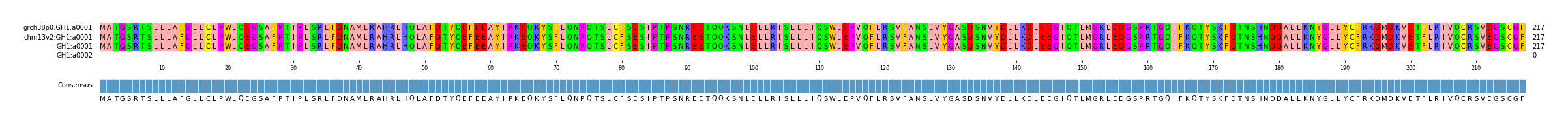 Multiple Alignments (by translate haplotype similarity)
