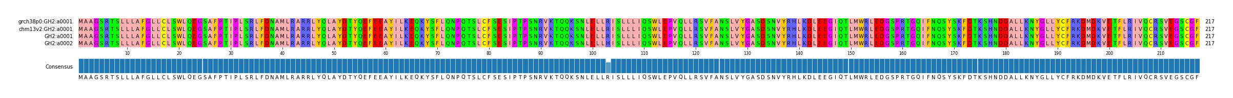 Multiple Alignments (by translate haplotype similarity)