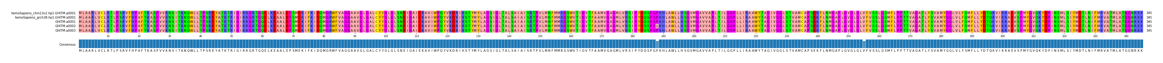 Multiple Alignments (by translate haplotype frequency)