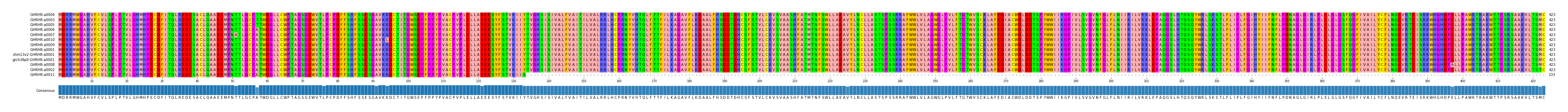 Multiple Alignments (by translate haplotype similarity)