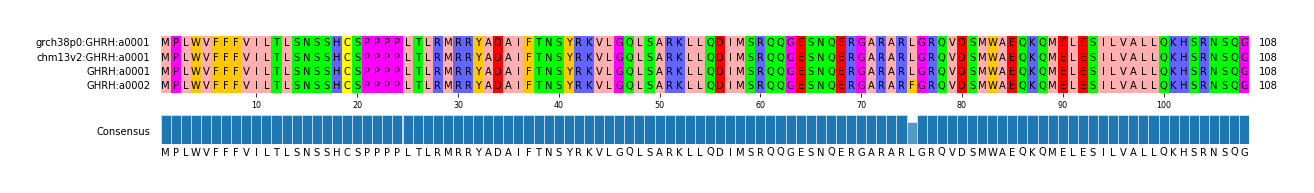 Multiple Alignments (by translate haplotype similarity)
