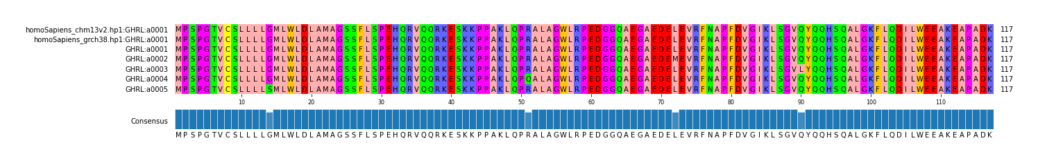 Multiple Alignments (by translate haplotype frequency)