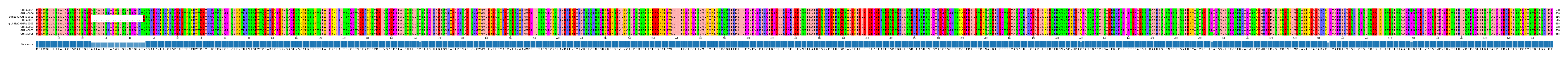 Multiple Alignments (by translate haplotype similarity)