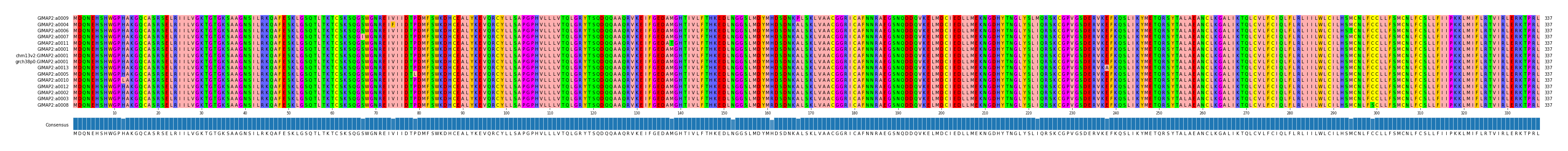 Multiple Alignments (by translate haplotype similarity)
