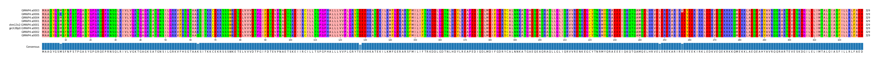 Multiple Alignments (by translate haplotype similarity)