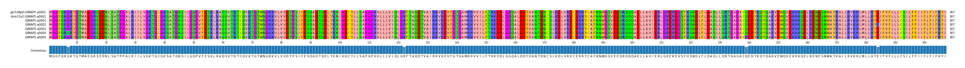 Multiple Alignments (by translate haplotype frequency)