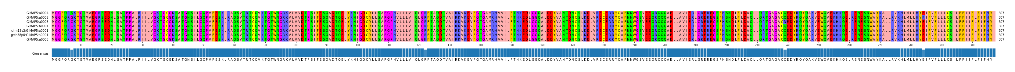 Multiple Alignments (by translate haplotype similarity)
