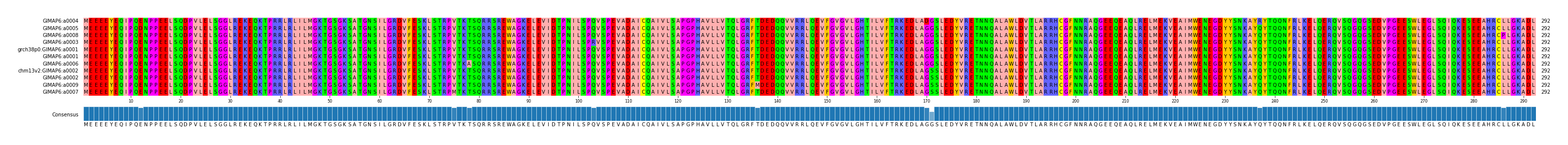 Multiple Alignments (by translate haplotype similarity)