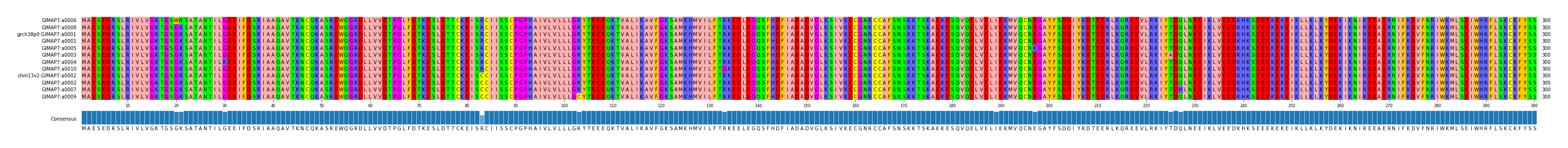 Multiple Alignments (by translate haplotype similarity)