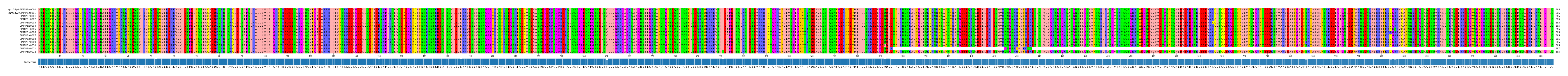 Multiple Alignments (by translate haplotype frequency)