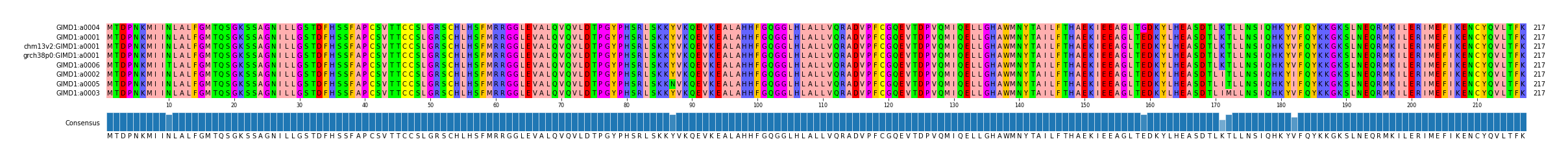 Multiple Alignments (by translate haplotype similarity)