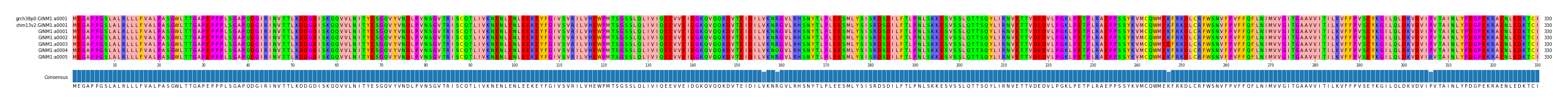 Multiple Alignments (by translate haplotype frequency)