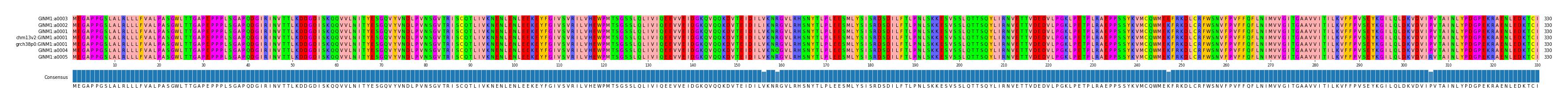 Multiple Alignments (by translate haplotype similarity)
