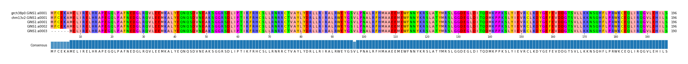 Multiple Alignments (by translate haplotype frequency)