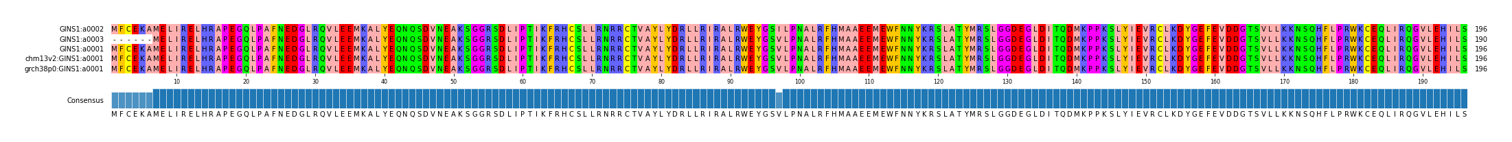 Multiple Alignments (by translate haplotype similarity)