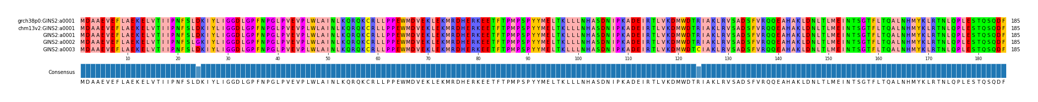 Multiple Alignments (by translate haplotype frequency)
