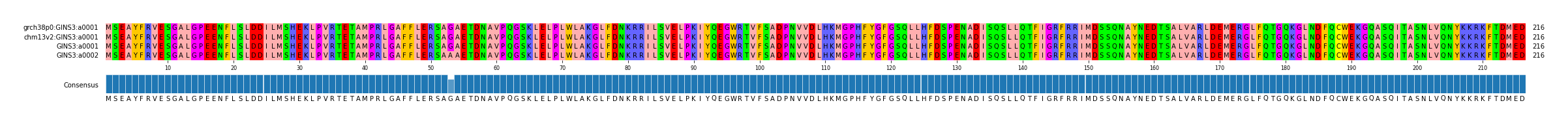 Multiple Alignments (by translate haplotype similarity)