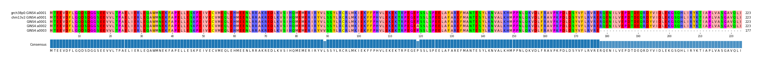 Multiple Alignments (by translate haplotype frequency)