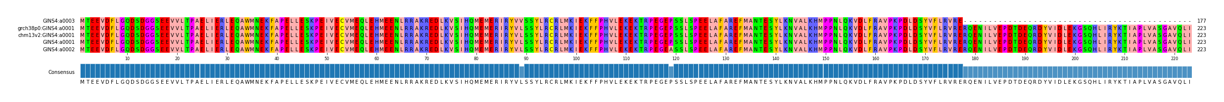 Multiple Alignments (by translate haplotype similarity)