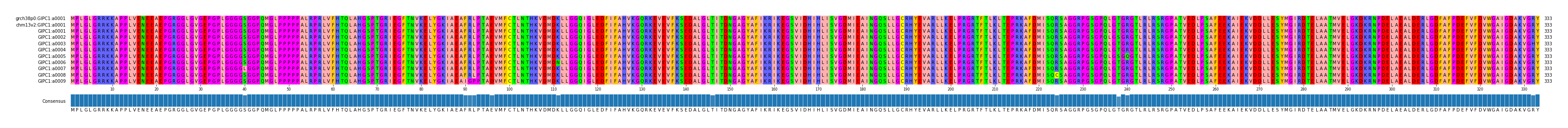 Multiple Alignments (by translate haplotype frequency)