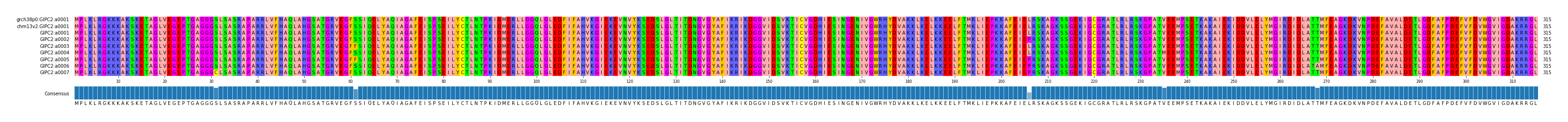 Multiple Alignments (by translate haplotype frequency)