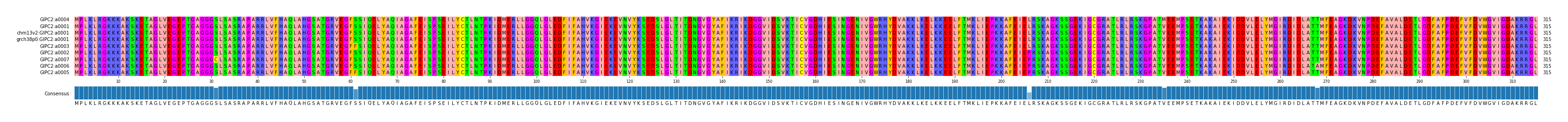 Multiple Alignments (by translate haplotype similarity)