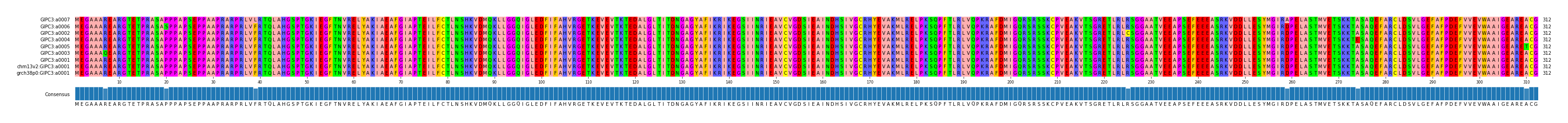 Multiple Alignments (by translate haplotype similarity)