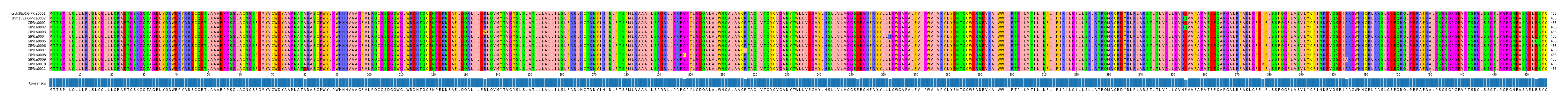 Multiple Alignments (by translate haplotype frequency)