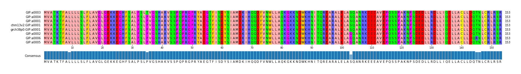 Multiple Alignments (by translate haplotype similarity)
