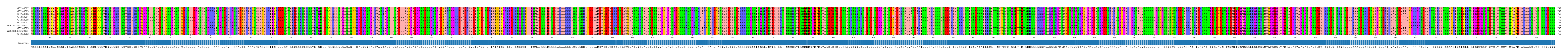 Multiple Alignments (by translate haplotype similarity)