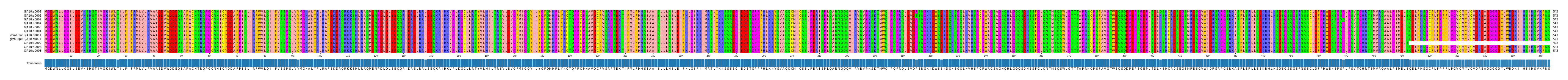 Multiple Alignments (by translate haplotype similarity)