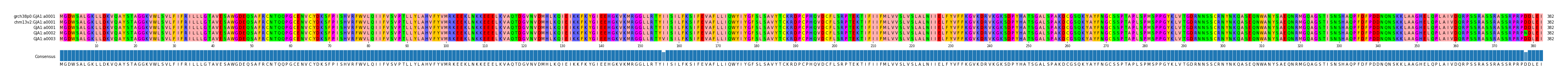 Multiple Alignments (by translate haplotype frequency)