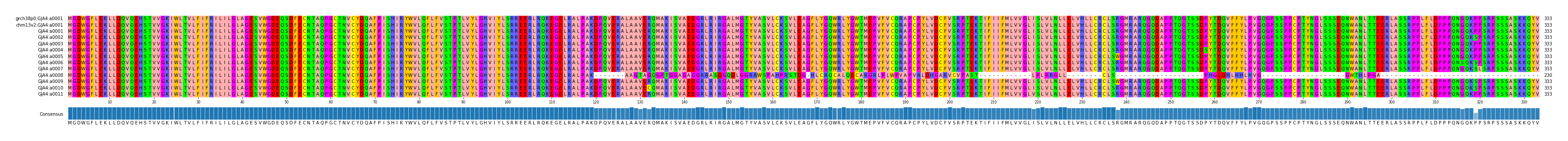 Multiple Alignments (by translate haplotype frequency)