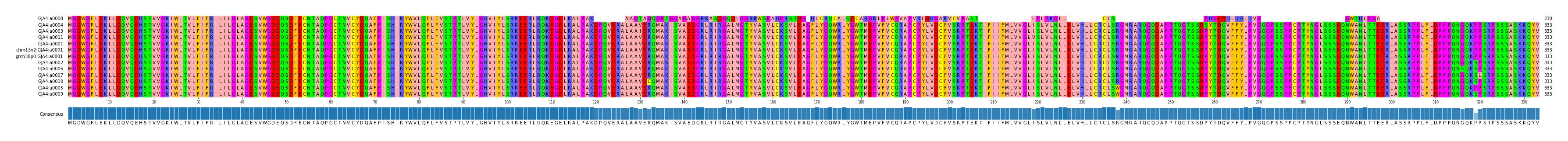 Multiple Alignments (by translate haplotype similarity)