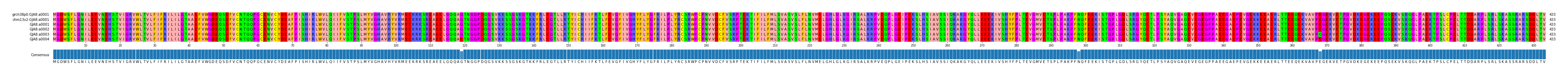 Multiple Alignments (by translate haplotype frequency)