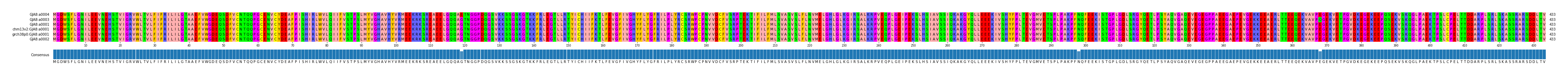 Multiple Alignments (by translate haplotype similarity)