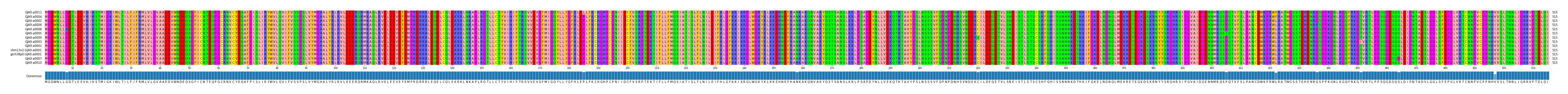 Multiple Alignments (by translate haplotype similarity)