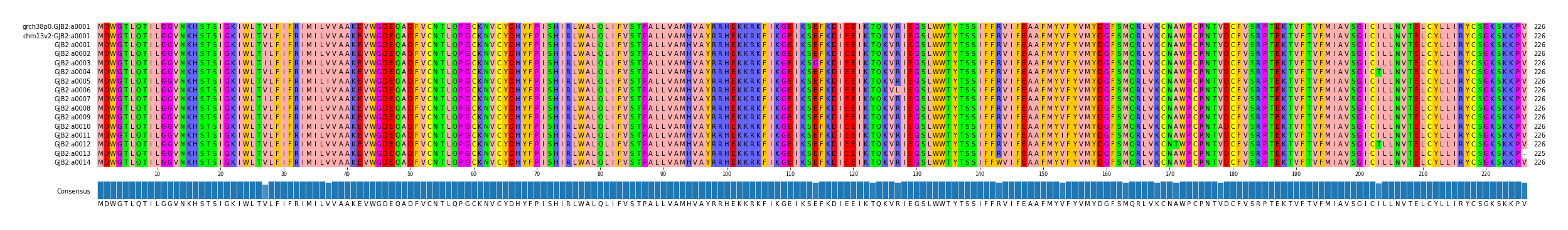 Multiple Alignments (by translate haplotype frequency)