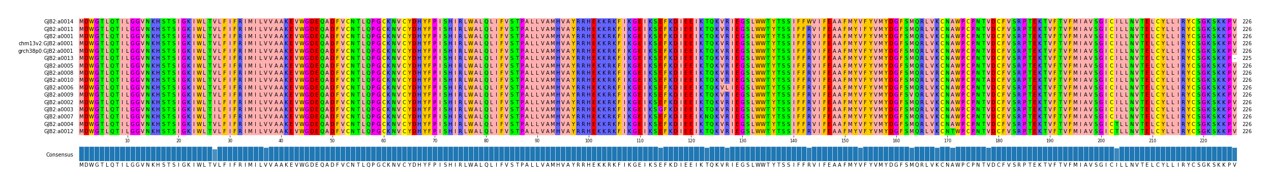 Multiple Alignments (by translate haplotype similarity)